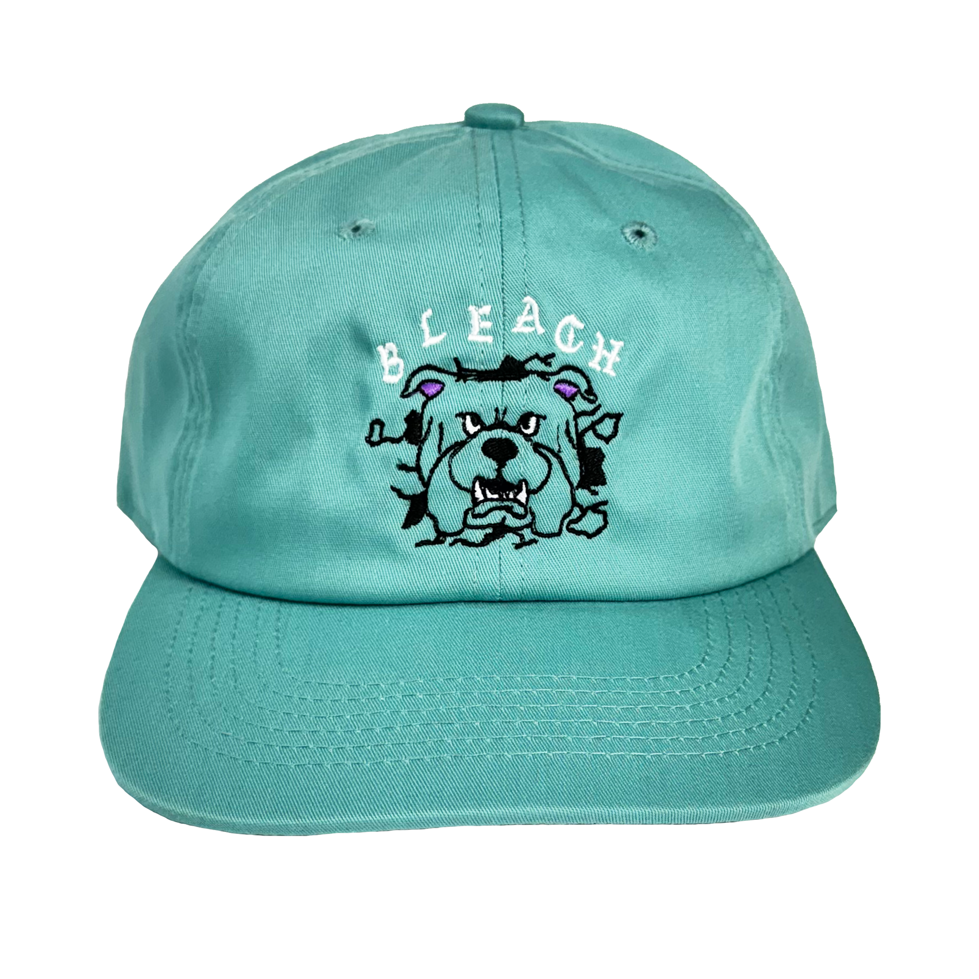 Bleach USA Big Dawg 6 Panel Hat - Dark Mint